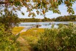 Herring Cove